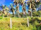 Land For Sale In MARAWILA,