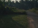Land for Sale in Wennappuwa
