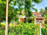 120 Year old antique house for sale in Kalutara