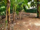 Water Front Land For Sale In Nawala