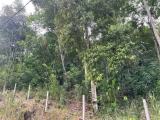 Agricultural land for sale in kandy