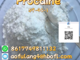 Procaine   	59-46-1
