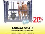 Commercial Digital livestock scales Company Kampala Uganda