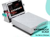 digital Waterproof Food Service Scale - Accurate suppliers
