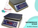 table top rustproof weighing scales for seafood markets use