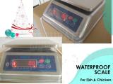 durable and water-resistant wash down weighing scale