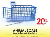 Livestock weighing scales in the agricultural industry