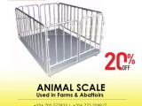 500kg electronic animal floor cattle weighing scale for sale