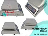 fish food processing factories digital weighing scales