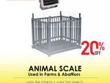 Digital Livestock Veterinary animal 500kg Platform Scale