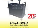 Commercial Digital livestock scales Company Kampala Uganda