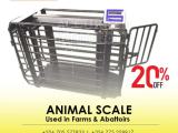LCD display large digital animal weighing scale 1500kg
