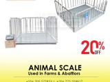 Commercial Digital livestock scales Company Kampala Uganda