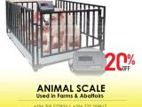 LCD display large digital animal weighing scale 1500kg