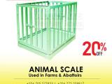 vet digital animal scale livestock scale for pig, sheep,cow