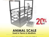 livestock animal weighing scale for cattle sheep with fence