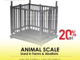 Digital Livestock Veterinary animal 500kg Platform Scale