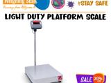 Calibration certified Platform weighing scale suppliers Wandegeya