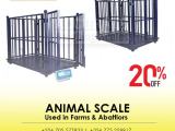 livestock animal weighing scale for cattle sheep with fence
