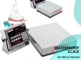 Industrial table top waterproof  weighing scale digital type