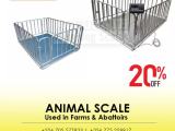 Digital Animal Floor Weighing Scales Pig Sheep Cattle Horse
