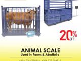high quality economical advanced  electronic cow scale