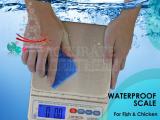 digital Heavy-duty waterproof scale with Hygienic design