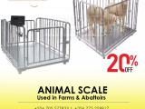 Livestock weighing scales in the agricultural industry