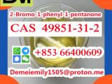CAS 49851-31-2 2-Bromo-1-phenyl-1-pentanone door to door China factory sales low price high purity good quality hot selling safe delivery fast delivery