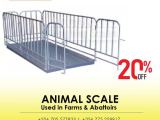 Livestock weighing scales in the agricultural industry