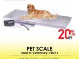 Pet Clinic Veterinary Treatment Table Dog Electric Weighing