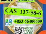 CAS 137-58-6 Lidocaine  door to door  fast delivery