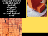 Dankotuwa Bricks