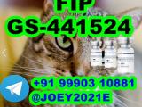GS-441524 cat Fip Feline Infectious Peritonitis