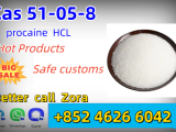 Factory Supply 99% Purity Raw Procaine HCl Powder CAS 51-05-8 Procaine Hydrochloride