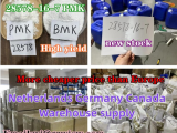 BMK powder 5449-12-7 Germany Warehouse pickup factory supply