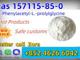High Quality 99% Noopept CAS 157115-85-0 with Safe Shipping