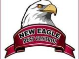 New Eagle Pest Control Sri Lanka