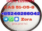Factory Supply 99% Purity Raw Procaine HCl Powder CAS 51-05-8 Procaine Hydrochloride