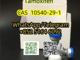 Tamoxifen CAS 10540-29-1