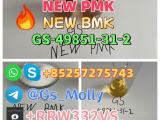 Hot Selling Pharmaceutical PMK BMK CAS 49851-31-2