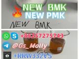 Best Precursor Supply Hot Selling GS PMK BMK