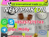 GS New BMK Glycidic Acid PMK Oil CAS49851-31-2