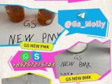 GS New PMK Methyl Glycidate BMK Powder CAS 49851-31-2 In Stock
