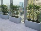 High-Quality Fiberglass Planters – Custom Solutions for Hotels, Resorts & Commercial Projects