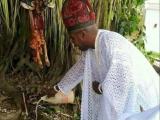 The Best Powerful SpirItual Herbalist Native Doctor IN Nigeria