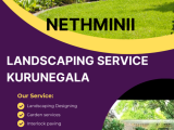 Graden Service Kurunegala