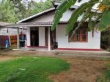 Paddy Field Facing House For Sale In Polgusowita