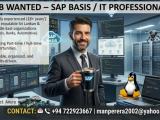 JOB WANTED – SAP BASIS / IT